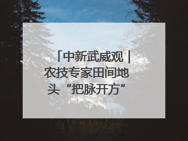 中新武威观｜农技专家田间地头“把脉开方”送“及时雨”