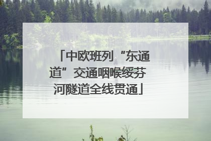 中欧班列“东通道”交通咽喉绥芬河隧道全线贯通