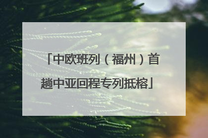 中欧班列（福州）首趟中亚回程专列抵榕