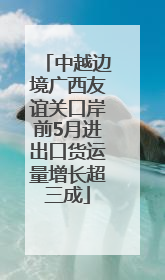 中越边境广西友谊关口岸前5月进出口货运量增长超三成