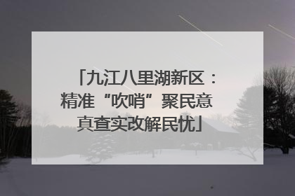 九江八里湖新区：精准“吹哨”聚民意 真查实改解民忧