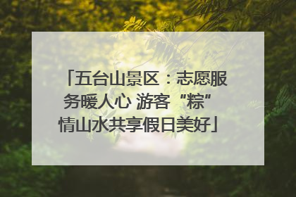 五台山景区：志愿服务暖人心 游客“粽”情山水共享假日美好