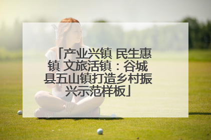 产业兴镇 民生惠镇 文旅活镇：谷城县五山镇打造乡村振兴示范样板