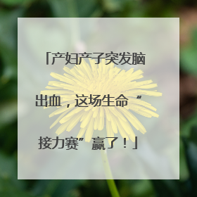 产妇产子突发脑出血，这场生命“接力赛”赢了！