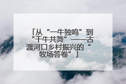 从“一牛独鸣”到“千牛共舞”——古渡河口乡村振兴的“牧场答卷”