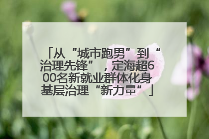 从“城市跑男”到“治理先锋”，定海超600名新就业群体化身基层治理“新力量”