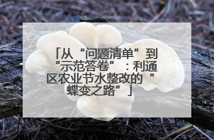 从“问题清单”到“示范答卷”：利通区农业节水整改的“蝶变之路”