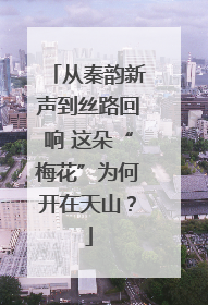 从秦韵新声到丝路回响 这朵“梅花”为何开在天山？
