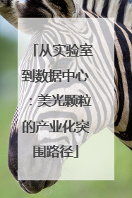 从实验室到数据中心：美光颗粒的产业化突围路径