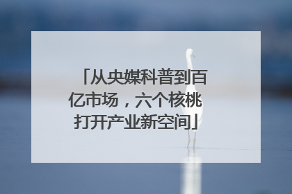 从央媒科普到百亿市场，六个核桃打开产业新空间
