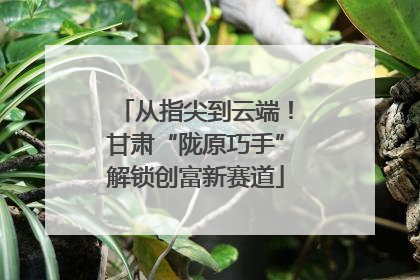 从指尖到云端！甘肃“陇原巧手”解锁创富新赛道