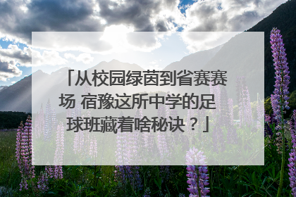 从校园绿茵到省赛赛场 宿豫这所中学的足球班藏着啥秘诀？