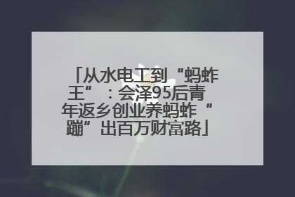 从水电工到“蚂蚱王”：会泽95后青年返乡创业养蚂蚱“蹦”出百万财富路