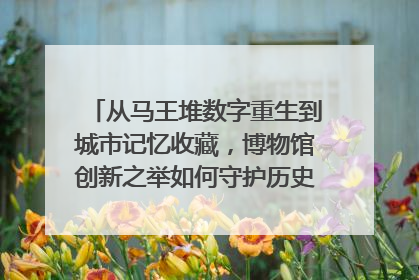 从马王堆数字重生到城市记忆收藏，博物馆创新之举如何守护历史、连接未来？