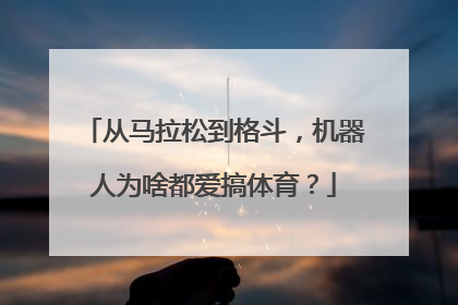 从马拉松到格斗，机器人为啥都爱搞体育？