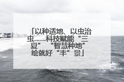 以种适地、以虫治虫……科技赋能“三夏” “智慧种地”绘就好“丰”景