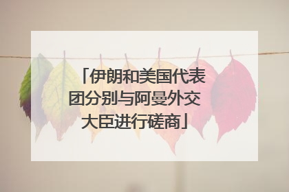 伊朗和美国代表团分别与阿曼外交大臣进行磋商
