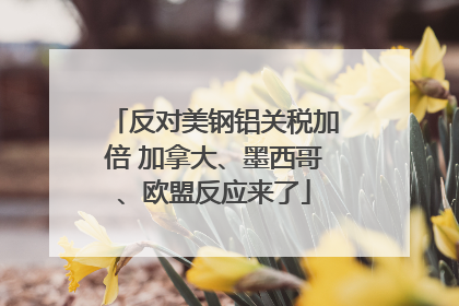 反对美钢铝关税加倍 加拿大、墨西哥、欧盟反应来了