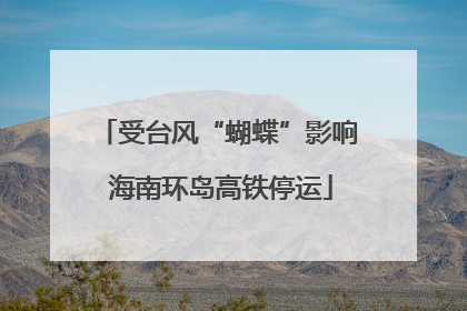 受台风“蝴蝶”影响 海南环岛高铁停运
