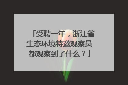 受聘一年，浙江省生态环境特邀观察员都观察到了什么？