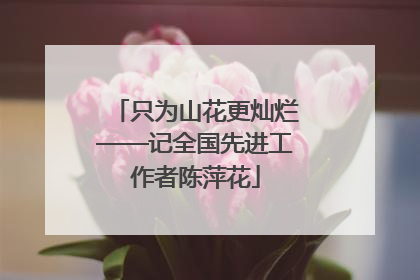 只为山花更灿烂——记全国先进工作者陈萍花