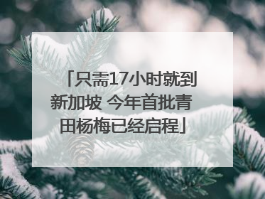 只需17小时就到新加坡 今年首批青田杨梅已经启程