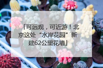 可远观，可近游！北京这处“水岸花园”新建62公里花墙