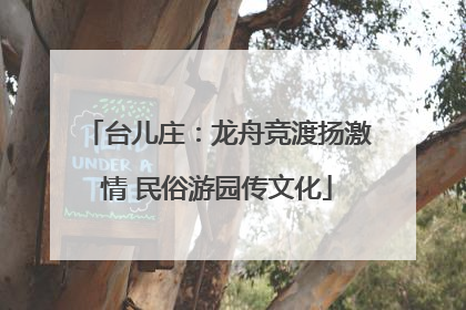 台儿庄：龙舟竞渡扬激情 民俗游园传文化