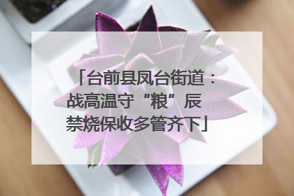 台前县凤台街道：战高温守“粮”辰 禁烧保收多管齐下