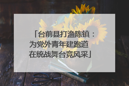 台前县打渔陈镇：为党外青年建跑道 在统战舞台竞风采