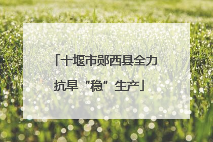 十堰市郧西县全力抗旱“稳”生产