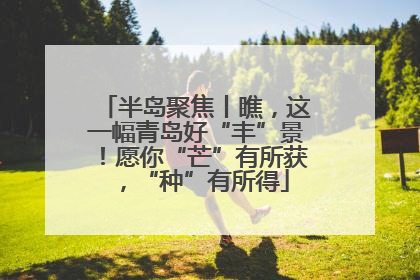 半岛聚焦丨瞧，这一幅青岛好“丰”景！愿你“芒”有所获，“种”有所得