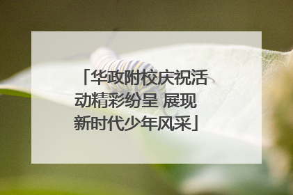 华政附校庆祝活动精彩纷呈 展现新时代少年风采