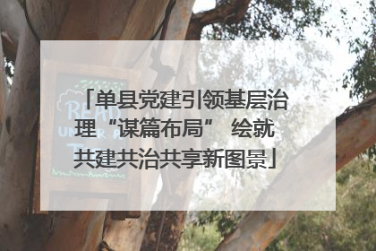 单县党建引领基层治理“谋篇布局” 绘就共建共治共享新图景
