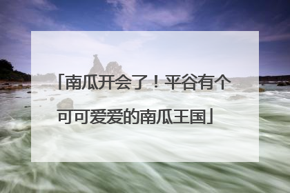 南瓜开会了！平谷有个可可爱爱的南瓜王国