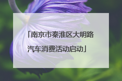 南京市秦淮区大明路汽车消费活动启动