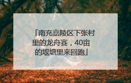 南充嘉陵区下张村里的龙舟赛，40亩的堰塘里来回跑