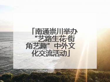 南通崇川举办“艺路生花·街角艺趣”中外文化交流活动