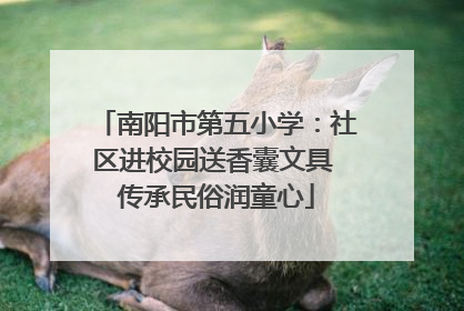南阳市第五小学：社区进校园送香囊文具 传承民俗润童心