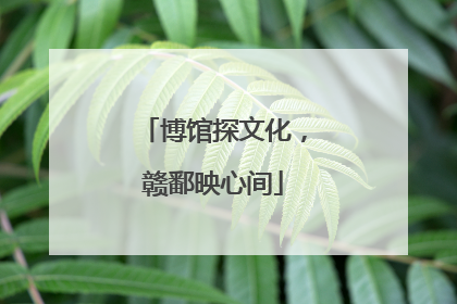 博馆探文化，赣鄱映心间