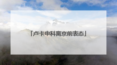 卢卡申科离京前表态