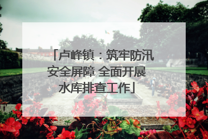 卢峰镇：筑牢防汛安全屏障 全面开展水库排查工作