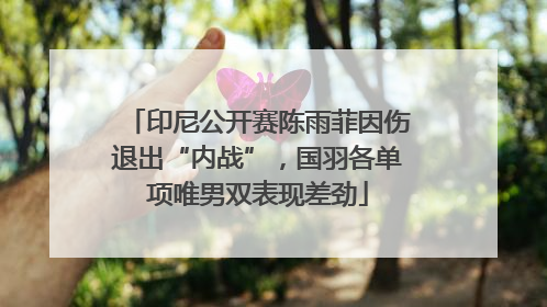 印尼公开赛陈雨菲因伤退出“内战”，国羽各单项唯男双表现差劲