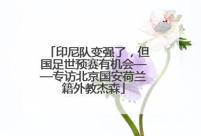 印尼队变强了，但国足世预赛有机会——专访北京国安荷兰籍外教杰森