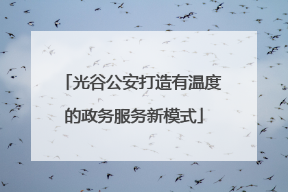 光谷公安打造有温度的政务服务新模式