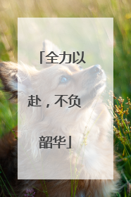 全力以赴，不负韶华