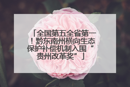 全国第五全省第一！黔东南州横向生态保护补偿机制入围“贵州改革奖”