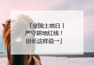 全国土地日丨严守耕地红线！田长这样说→
