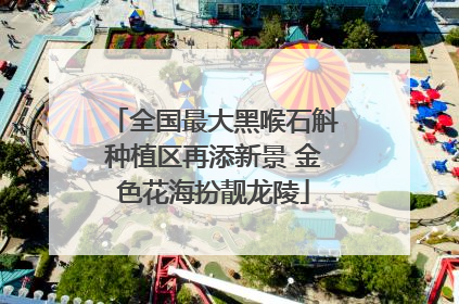 全国最大黑喉石斛种植区再添新景 金色花海扮靓龙陵