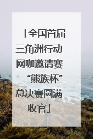 全国首届三角洲行动网咖邀请赛“熊族杯”总决赛圆满收官